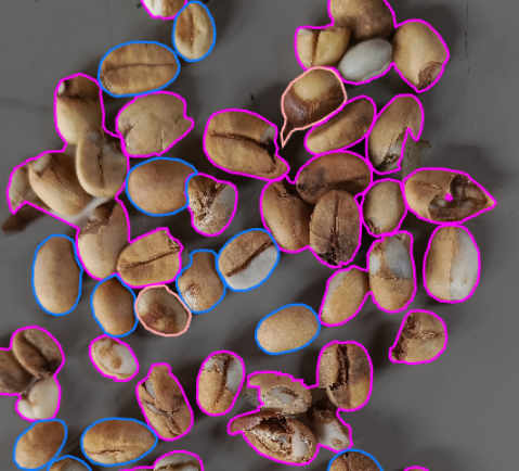 YOLOv8 Coffee Detection Project